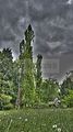 tannenfeld-sommer 2012-068